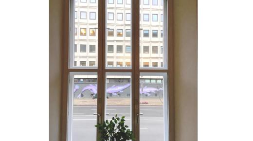 PaX Kastenfenster aus Kiefer in Berlin