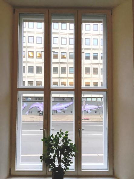 PaX Kastenfenster aus Kiefer in Berlin